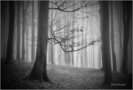 <p>Šluknovsko - Království</p>